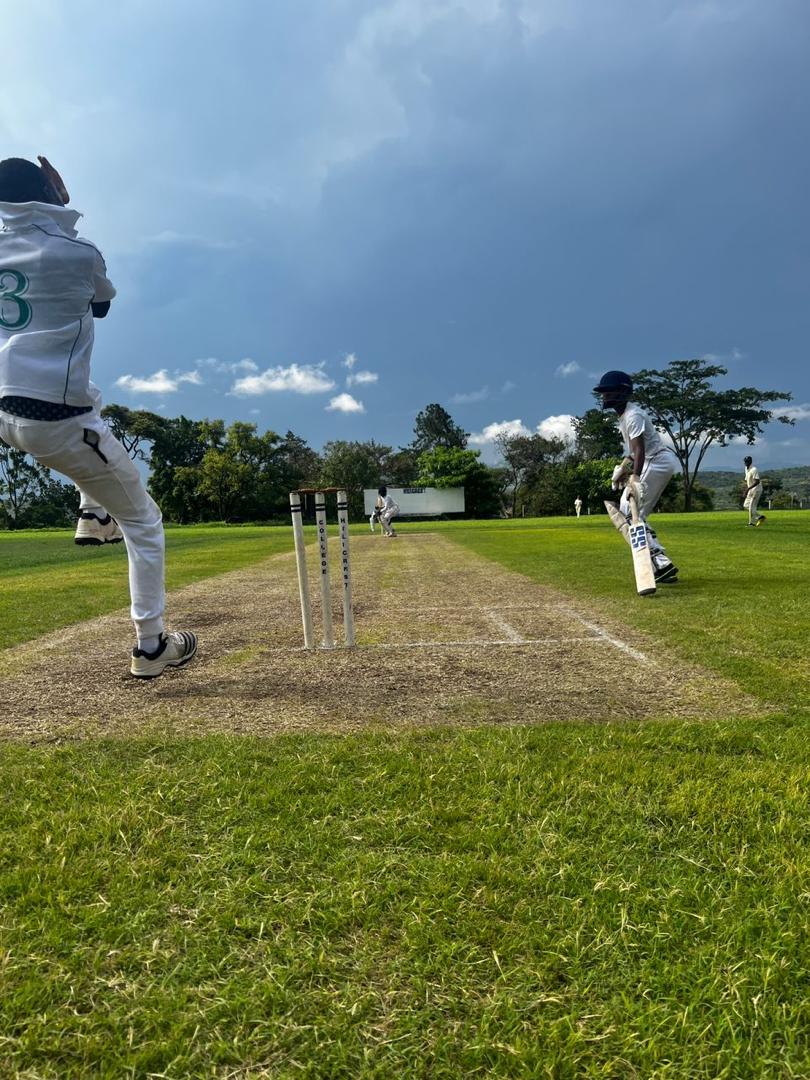 Cricket batting technique training