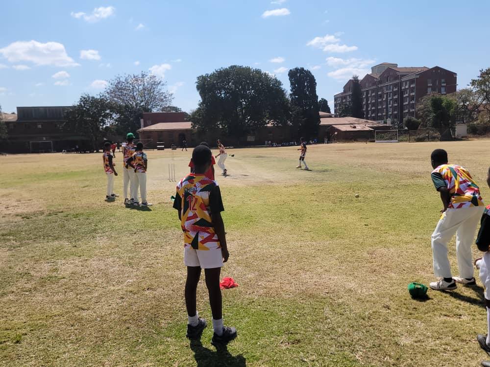Bowling action and technique